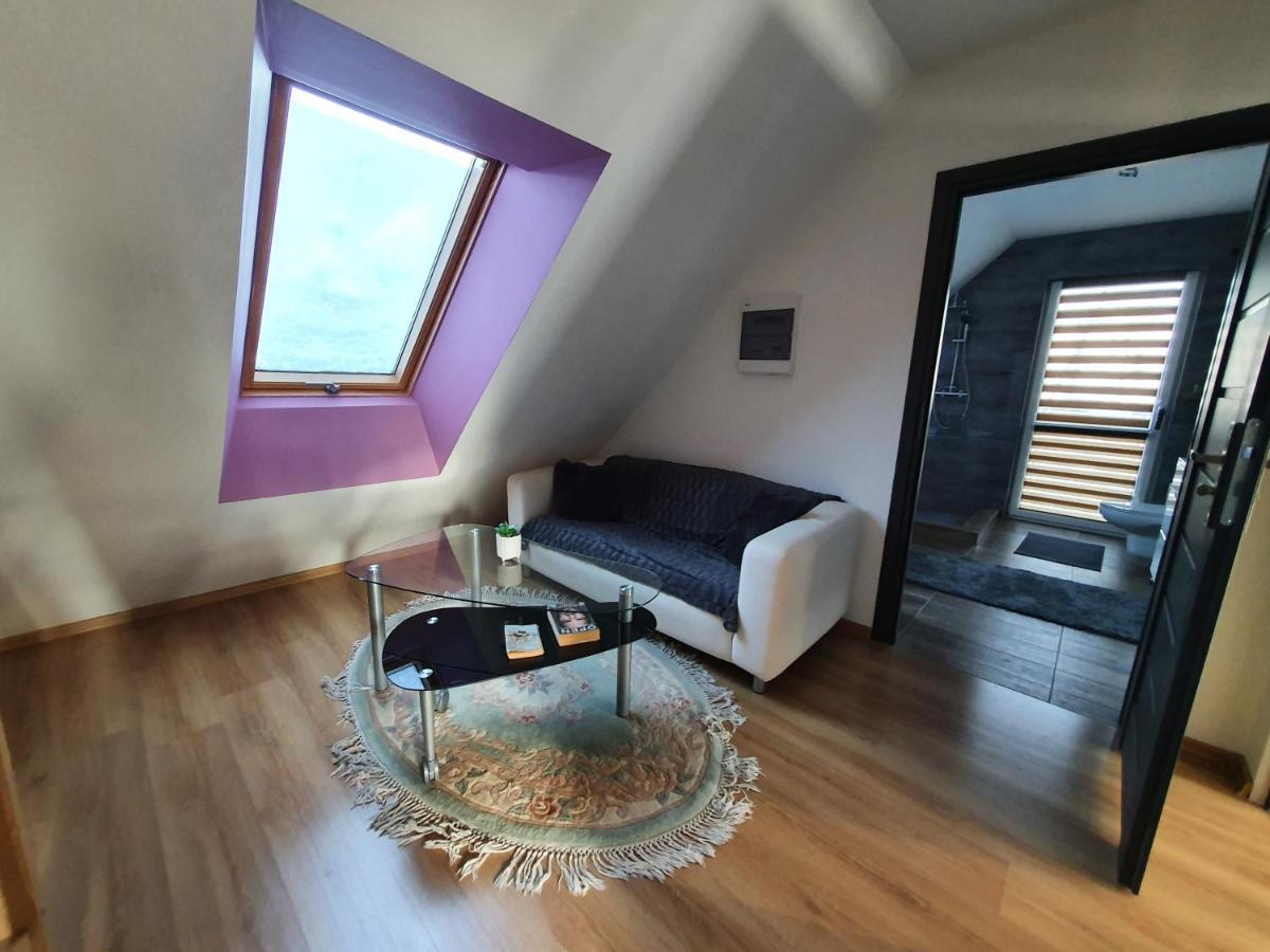 Nowy Dom Apartament Z Widokiem Na Gory 8 Osob Μπιέλσκο-Μπιάλα Εξωτερικό φωτογραφία